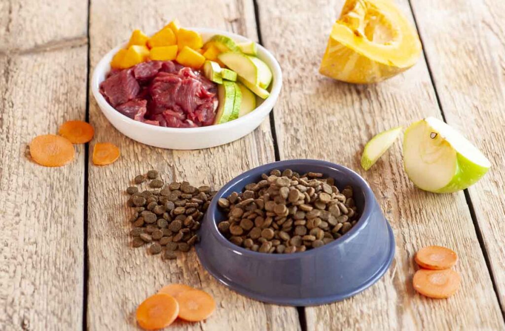Как различные вкусы кормов влияют на аппетит кошек?